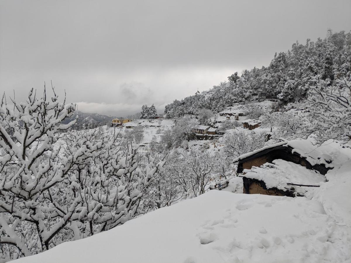 Namastay Himalayas, Kanatal Exteriör bild