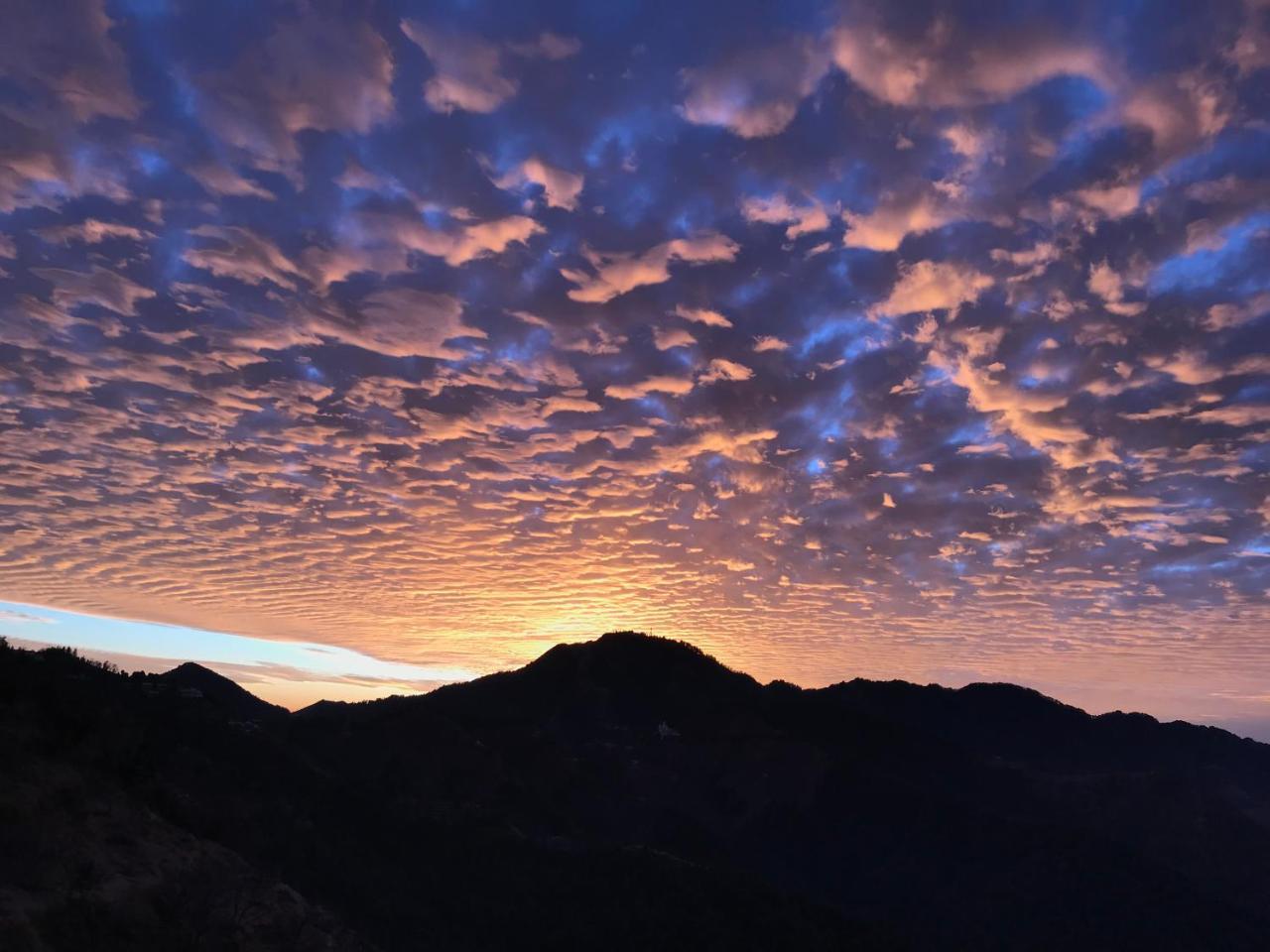 Namastay Himalayas, Kanatal Exteriör bild